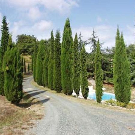 Penzion Sassi Bianchi Sensano Exteriér fotografie