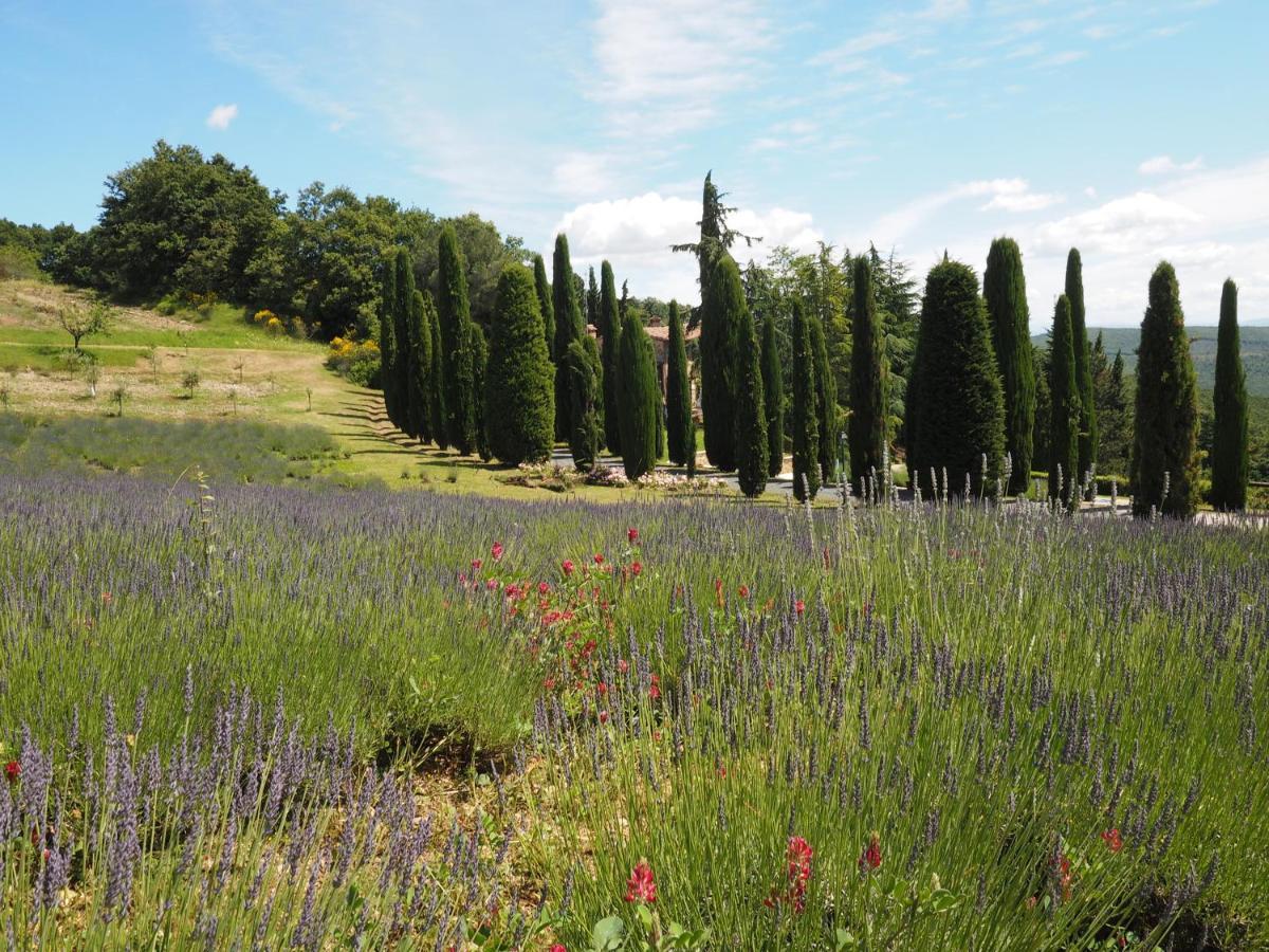 Penzion Sassi Bianchi Sensano Exteriér fotografie