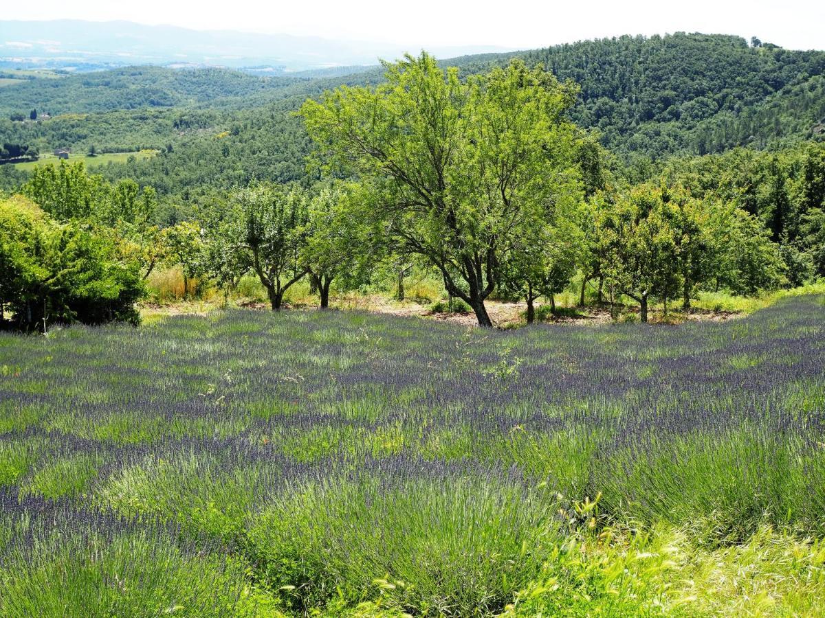 Penzion Sassi Bianchi Sensano Exteriér fotografie