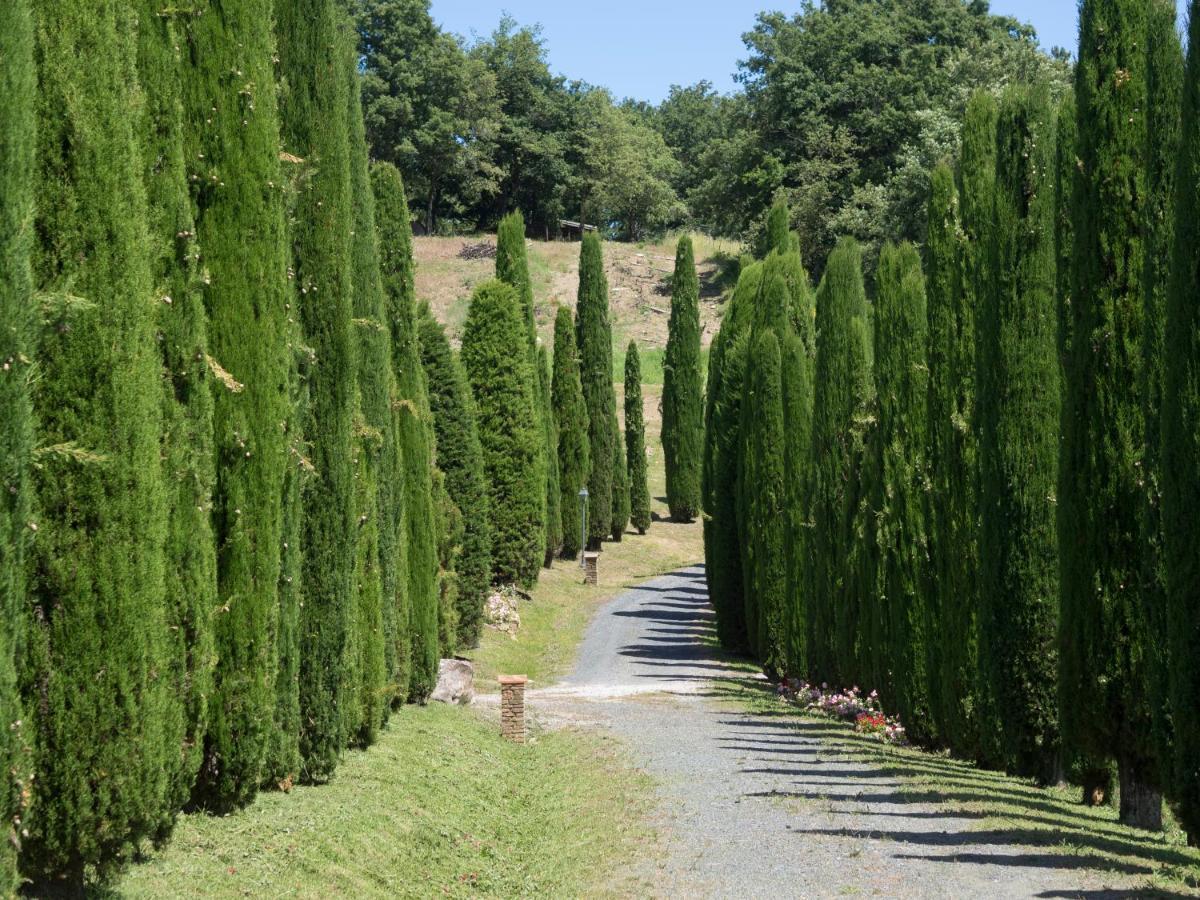 Penzion Sassi Bianchi Sensano Exteriér fotografie